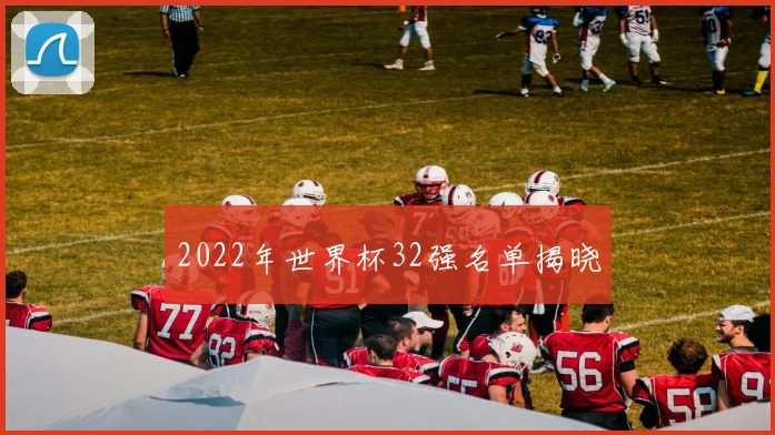 2022年世界杯32强名单揭晓