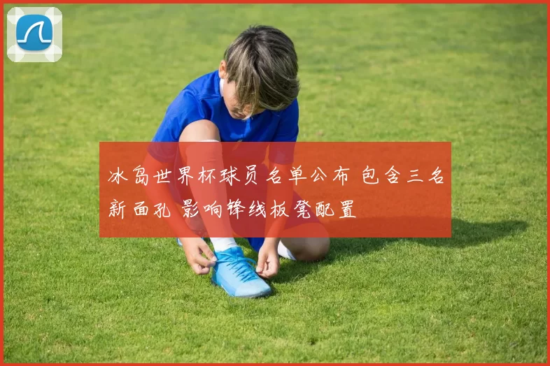 冰岛世界杯球员名单公布 包含三名新面孔 影响锋线板凳配置