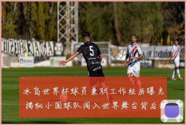 冰岛世界杯球员兼职工作经历曝光 揭秘小国球队闯入世界舞台背后故事