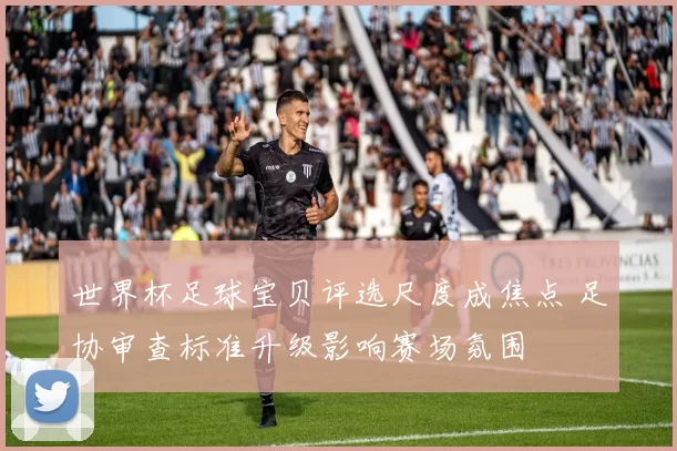世界杯足球宝贝评选尺度成焦点 足协审查标准升级影响赛场氛围