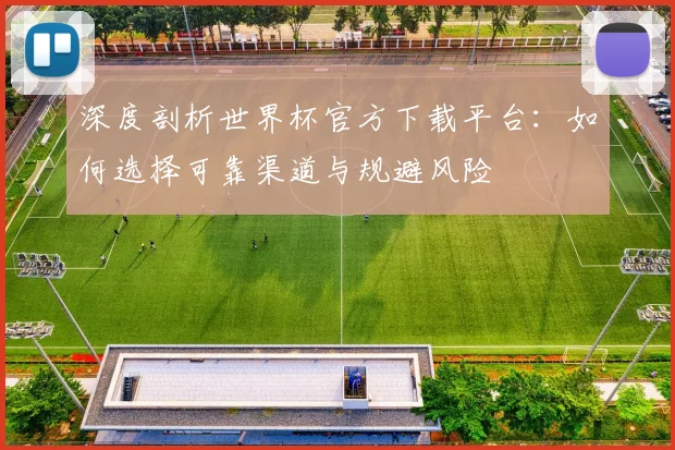 深度剖析世界杯官方下载平台:如何选择可靠渠道与规避风险
