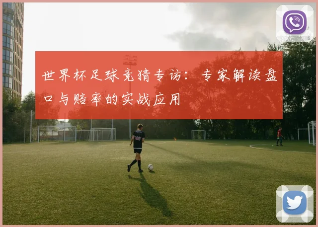 世界杯足球竞猜专访：专家解读盘口与赔率的实战应用